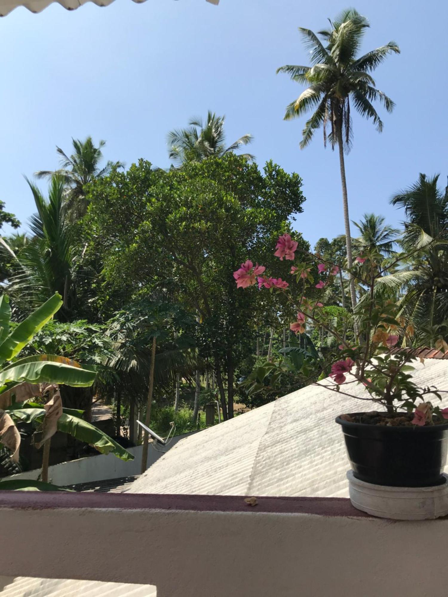 Jungle Villa อาฮานกามา ห้อง รูปภาพ